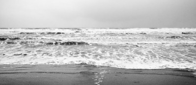 DSC_0386